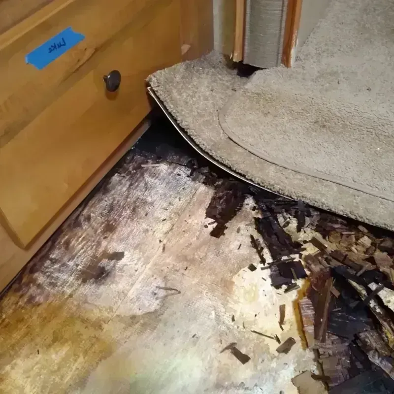 Wood Floor Water Damage in Tainter Lake, WI